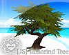 [JS] Tamarind Tree