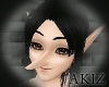 ]Akiz[ Ungly Elf