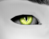 green wolf eyes