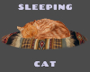 KWIK SLEEPING CAT