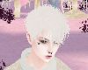 Cute prince hair