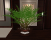 Love Lighted Plant