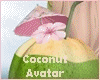 Summer Coconut Drink Avi