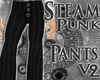 SG Steampunk Pants v2