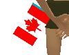 [MJ]Canadian Flag