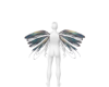 lil wispy wings - storm
