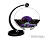 black purple swing