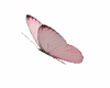 alissa pink butterflies
