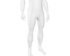 muscular body v1