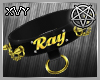 Vy: M Ray Collar Gold
