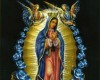 {YT} Guadalupe Pic