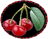 {cmm} cherries rug