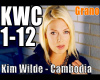 Kim Wilde Cambodia remix