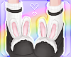 🌙 Bunny Shoes Black