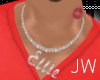 |JW| Customized Necklace