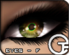 TP Eyes F - Nov III