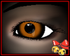 Red Fox Eye (M)