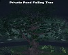 P/Pond Weeping Tree