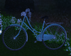 Romantic Garden Bike