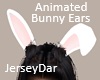 Bunny Ears Animated