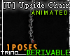 [T] Upside Down Chain