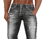 Gray Jeans Pants