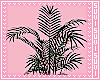 My Palm