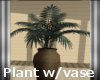 [Vv]VISTA - Plant w/vase