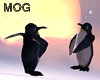 ! Animated Penguins Play