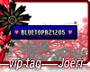 j| Bluetopaz1205