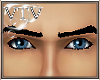 [VTV] Eye Browz