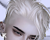 David | Snow