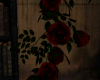 I. Roses