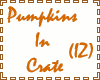 (IZ) Pumpkins In Crate