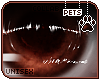 [Pets] Makybe | eyes v1