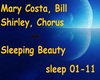 Sleeping Beauty