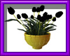 (sm)flower pot animated