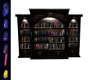 DAZ- Winter Book Shelves