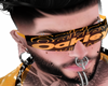 @300 OH OH ORANGE