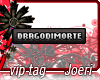 j| Dragodimorte-