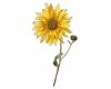 6v3| Yellow Flower