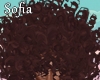 S. Afro Brown