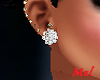 (ZN) Earrings Plata