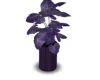 Plant Pot B01