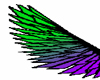 green/purple wings