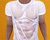 Wet T-Shirt (M)