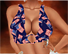 BBW American Top 1
