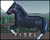 Y. Ranch Balloon REQ