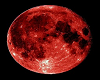 Blood Moon Ballroom