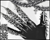 冯 Chrome Claws L